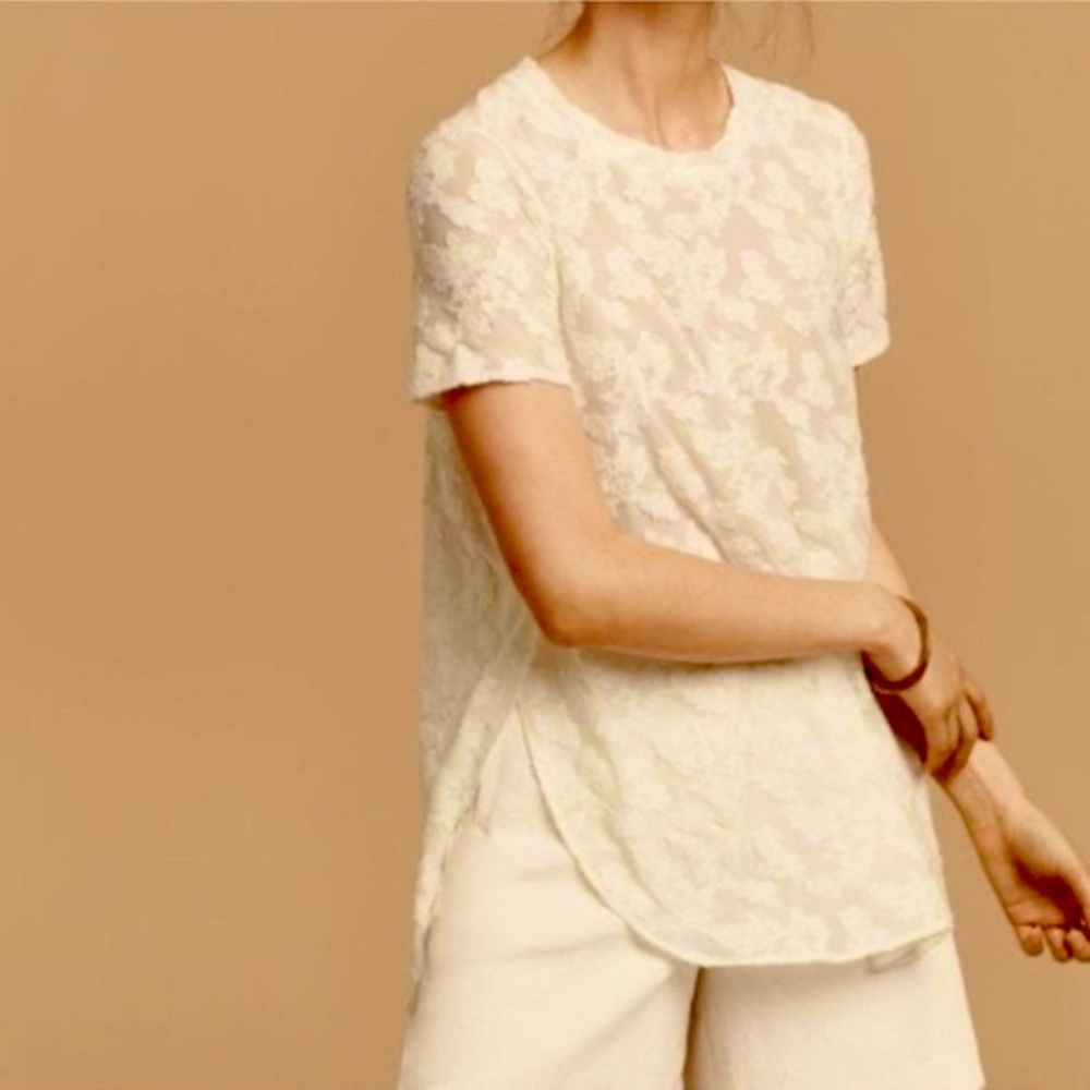 Aritzia Babaton Capucine T-Shirt Floral Semi Sheer Lace Jacquard Top Side Slits